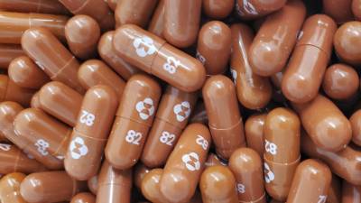 Molnupiravir: ¿Cómo funciona la primera pastilla antiviral contra el covid-19? Molnupiravir: ¿Cómo funciona la primera pastilla antiviral contra el covid-19?