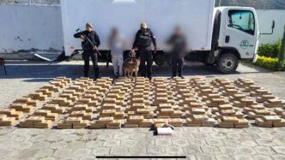 Golpe al narcotr&aacute;fico: Can &quot;Zizi&quot; descubre media tonelada de coca&iacute;na en ruta a Quito