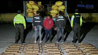 151 bloques de cocaína fueron hallados en un camión que llevaba papas 151 bloques de cocaína fueron hallados en un camión que llevaba papas
