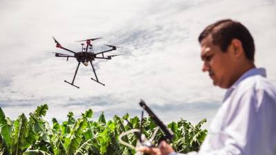 Una oferta de protecci&oacute;n de cultivos y agricultura digital llega a Ecuador