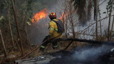 Fotografía de un bombero combatiendo llamas en un entorno boscoso de Quito. Fotografía de un bombero combatiendo llamas en un entorno boscoso de Quito.