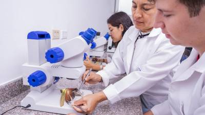 ¿Cómo se reconoce la investigación universitaria del país? ¿Cómo se reconoce la investigación universitaria del país?