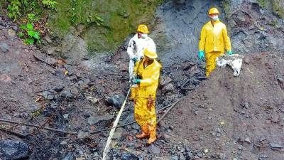 En la última rotura de un oleoducto se vertieron 6.300 barriles de petróleo, confirma OCP En la última rotura de un oleoducto se vertieron 6.300 barriles de petróleo, confirma OCP