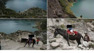 Piden no usar burros ni caballos en recorridos en laguna del Quilotoa; hay más de 75 mil firmas recogidas Piden no usar burros ni caballos en recorridos en laguna del Quilotoa; hay más de 75 mil firmas recogidas