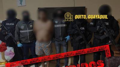 Desmantelan red que enviaba droga en frutas desde Ecuador a Europa: revelan modus operandi en aeropuerto de Guayaquil