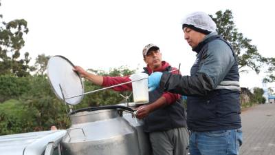Realizan control de inocuidad a cargamentos de leche cruda Realizan control de inocuidad a cargamentos de leche cruda