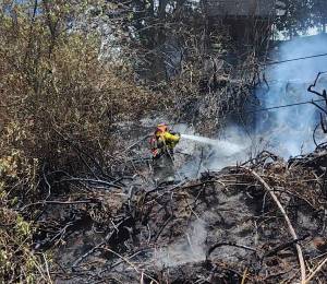 El sujeto el incendio de más de 1.200 metros de vegetación.