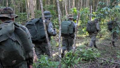 Denuncian incursión de militares ecuatorianos en Colombia Denuncian incursión de militares ecuatorianos en Colombia