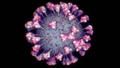 Así se ve el coronavirus: primera imagen real en 3 dimensiones Así se ve el coronavirus: primera imagen real en 3 dimensiones