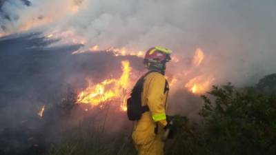 Alerta de posibles incendios en Ecuador ante altas temperaturas y vientos de 60 km/h: esto advierte el Inamhi Alerta de posibles incendios en Ecuador ante altas temperaturas y vientos de 60 km/h: esto advierte el Inamhi
