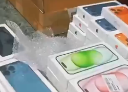 En las cajas se ocultaban más de 1.200 celulares de alta gama.