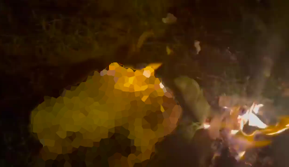 Indignante: perrito fue quemado junto a un monigote en Quito, fundación pide ayuda