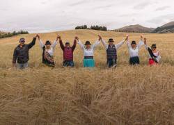 Desde 2020 en Ecuador la iniciativa “Siembra por Contrato” ha alcanzado fortalecimiento productivo, asesoría en el campo y precios justos.