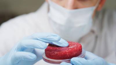 El proyecto de ley en Italia que apunta a prohibir la carne artificial