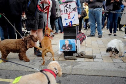 Cientos de perros ladran en Londres contra el Brexit