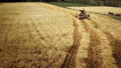 Programa contribuye con la reactivación de pequeños agricultores Programa contribuye con la reactivación de pequeños agricultores