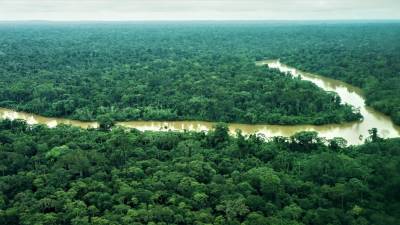 D&iacute;a Internacional contra el Cambio Clim&aacute;tico: Informe Planeta Vivo revela que quedan 5 a&ntilde;os para evitar la extinci&oacute;n de la selva amaz&oacute;nica