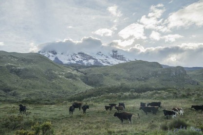 El Chimborazo pierde su imponente atuendo de hielo