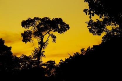 La asombrosa amazonía ecuatoriana