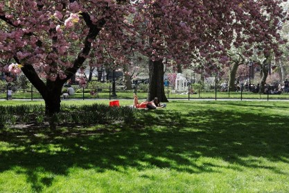 Un día de primavera en Nueva York, Estados Unidos