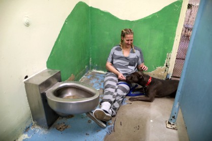 Presos cuidan de animales maltratados en una antigua cárcel de Arizona