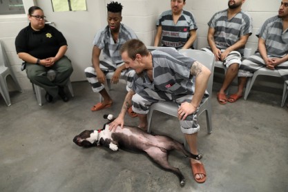 Presos cuidan de animales maltratados en una antigua cárcel de Arizona