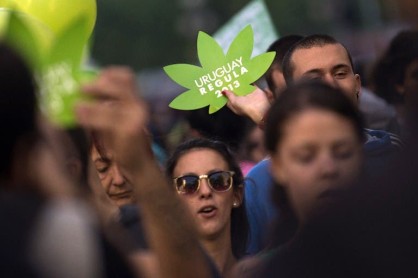 El eco de legalizar la marihuana en América Latina