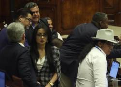 Fotografía que muestra a varios legisladores del movimiento Revolución Ciudadana durante una sesión plenaria.