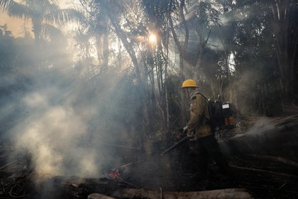 Incendios en la Amazonía amenazan la supervivencia de etnias indígenas en Brasil