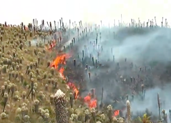 Incendio en la reserva ecológica El Ángel causa graves daños.