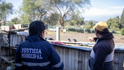 Mujer ahorca a tres perros en Latacunga frente a su hijo menor de edad: esto es lo que se sabe Mujer ahorca a tres perros en Latacunga frente a su hijo menor de edad: esto es lo que se sabe