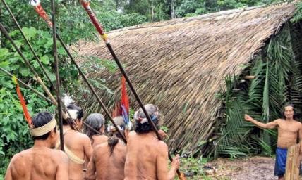 CIDH insta a proteger derechos de pueblos indígenas en aislamiento voluntario