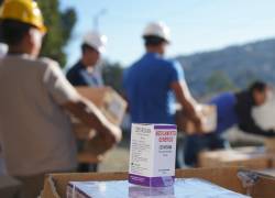 El anuncio de la compra de medicamentos a la India generó expectativa, pero también cuestionamientos.