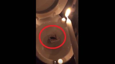 'Descansa en paz Enrique': Polémico funeral de una mascota 'enloquece' las redes 'Descansa en paz Enrique': Polémico funeral de una mascota 'enloquece' las redes