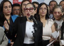 Revolución Ciudadana (RC) insiste en que el TCE quiere eliminar al movimiento.