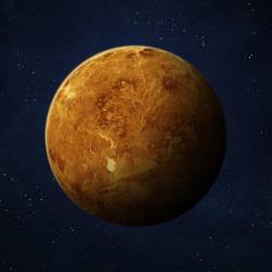 Venus: poner el amor y los valores bajo la lupa
