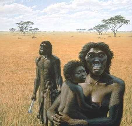 Especie humana extinta amamantó durante el primer año de vida