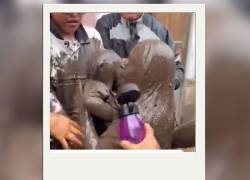 Madre e hija se salvaron del aluvión en Alausí.