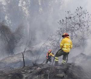 Cerca de 60 efectivos y 14 vehículos se movilizaron para controlar el incendio de La Vicentina e Itchimbía.