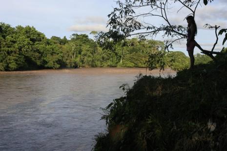 Presentan Plan Biorregional 2030 para salvar de la catástrofe sanitaria a la Amazonía de Ecuador y Perú