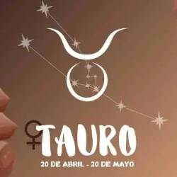 Tauro: la paciencia comienza a dar frutos