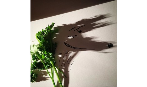 Las sombras de objetos cotidianos se convierten en ingeniosas ilustraciones