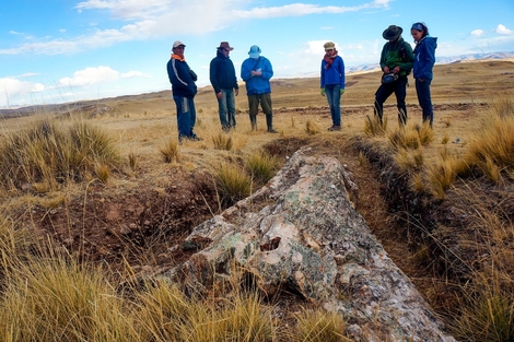 Investigadores analizan árbol fósil de 10 millones de años en Perú