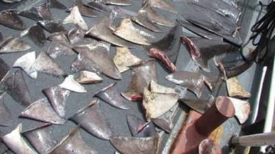 Retienen a embarcación en El Oro por presunto caso de pesca ilegal Retienen a embarcación en El Oro por presunto caso de pesca ilegal