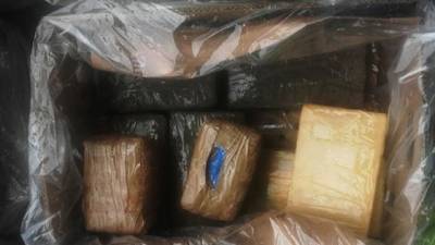 Policía frustra envió de 370,5 kilos de cocaína a Bélgica Policía frustra envió de 370,5 kilos de cocaína a Bélgica
