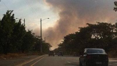 Se registra incendio forestal en vía a la Costa Se registra incendio forestal en vía a la Costa
