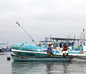 Pescadores se ven afectados con la llegada del fenómeno del niño, la alta temperatura del mar disminuye la pesca.