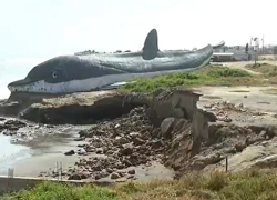 Estructura de delfín colapsó y dejó enterrada a cuatro personas.