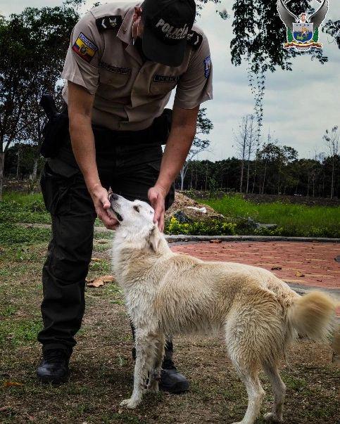 $!Foto: Instagram / @policiaecuadoroficial