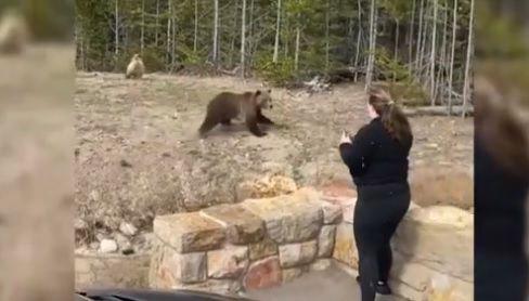 Se acercó a una osa grizzly para una foto y fue enviada a prisión: por suerte